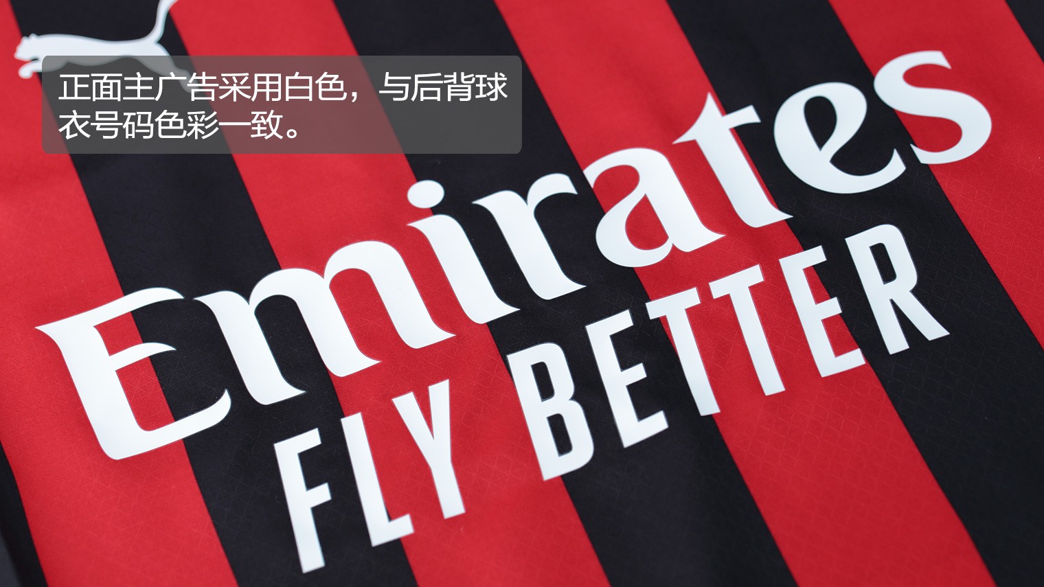 CBA季后赛对阵表公布（CBA季后赛对阵出炉）